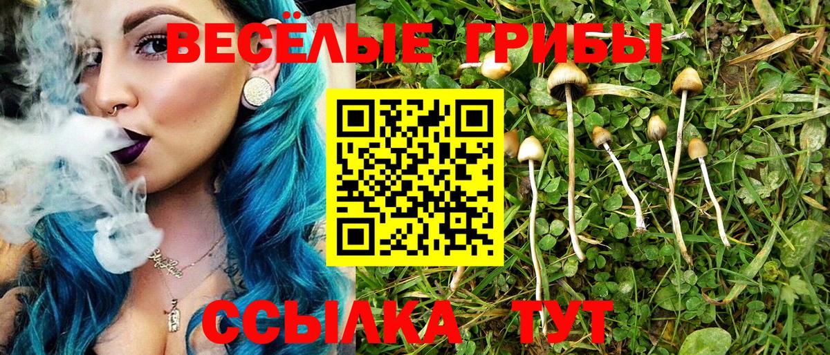 Псилоцибиновые грибы Гулькевичи